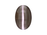Cat's-Eye Sillimanite 19.69x13.24mm Oval Cabochon 24.63ct