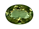 Green Tourmaline Genuine Gemstone .75ctw 7x5mm Oval