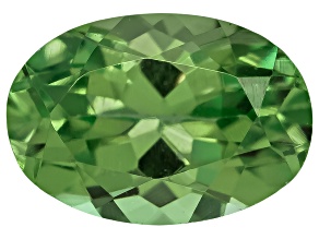 Garnet Tsavorite 6x4mm Oval .50ct