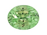 Grossular Garnet 9.5x7.5mm Oval 2.00ct