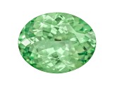 Grossular Garnet 9x7mm Oval 2.00ct