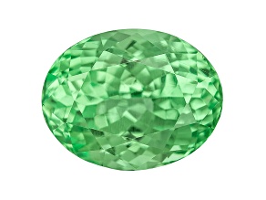 Grossular Garnet 9x7mm Oval 2.80ct
