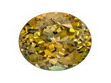 Zoisite 16.07x13.01mm Oval 13.49ct