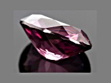 Purple Spinel 14.15x11.35x7.1mm Oval 8.33ct