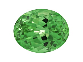 Grossular Garnet 14x11mm Oval 11.08ct