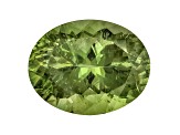 Green Apatite 17.3x13.48mm Oval 14.36ct