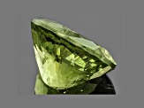Green Apatite 17.3x13.48mm Oval 14.36ct