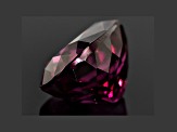 Rhodolite Garnet Oval 8.35ct