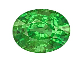 Garnet Tsavorite 9.71x7.42mm Oval 3.13ct