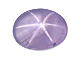 Pale Lavender Star Sapphire Loose Gemstone Untreated 13.30x10.29x6.60mm Oval Cabochon 10.22ct