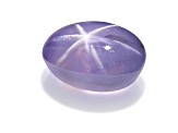 Pale Lavender Star Sapphire Loose Gemstone Untreated 13.30x10.29x6.60mm Oval Cabochon 10.22ct