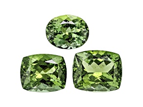 Apatite Oval and Cushion Set of 3 13.59ctw