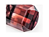 Tourmaline 14.25x11.13mm Emerald Cut 13.59ct