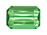 Tsavorite Garnet 10.24x7x5.23mm Emerald Cut 3.69ct