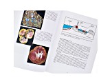 Genesis And Classification Of Agates And Jasper: A New Theory By Marco Campos-Venuti