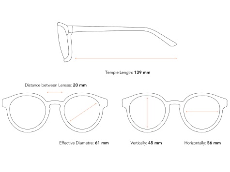SEAYU™ Foldable Sunglasses with Belt Case in Black