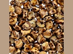 John Bead 7.5mm White Dark Picasso Matte Color Czech Glass Ginkgo Leaf Beads 50 Grams