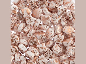 John Bead 7.5mm White Copper Splash Color Czech Glass Ginkgo Leaf Beads 50 Grams