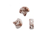 John Bead 7.5mm White Copper Splash Color Czech Glass Ginkgo Leaf Beads 50 Grams