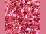 Czech Glass 6/0 Seed Beads Neon Pink Mix 23 Gram Vial