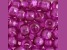 9mm Transparent Dark Amethyst Color Plastic Pony Beads, 1000pcs