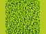 John Bead Czech Glass 10/0 Seed Beads Terra Intensive Light Green 22 Grams