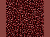 John Bead Czech Glass 10/0 Seed Beads Terra Intensive Brown 22 Grams