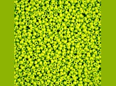 John Bead Czech Glass 8/0 Seed Beads Terra Intensive Matte Light Green 22 Grams