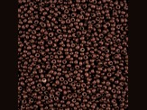 John Bead Czech Glass 8/0 Seed Beads Terra Intensive Matte Dark Brown 22 Grams