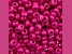 John Bead Czech Glass 6/0 Seed Beads Terra Intensive Pink 22 Grams