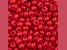 John Bead Czech Glass 6/0 Seed Beads Terra Intensive Red 22 Grams