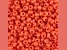 John Bead Czech Glass 8/0 Seed Beads Terra Intensive Orange 22 Grams