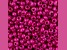 John Bead Czech Glass 8/0 Seed Beads Terra Intensive Pink 22 Grams