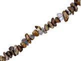 Marbled Chalcedony appx 10-13mm Chip Bead Strand appx 15-16"