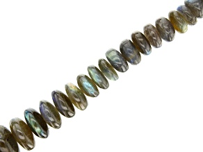 Labradorite Appx 12-20mm Graduated Smooth Rondelle Bead Strand Appx 15-16" in length
