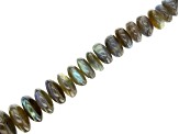Labradorite Appx 12-20mm Graduated Smooth Rondelle Bead Strand Appx 15-16" in length