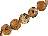 Leopard Stone Graduated Faceted appx 11-14mm Coin Shape Bead Strand appx 15-16"