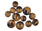 Tigers Eye Undrilled Cabochon Round appx 18-25mm in 3 Sizes 12 Pieces Total