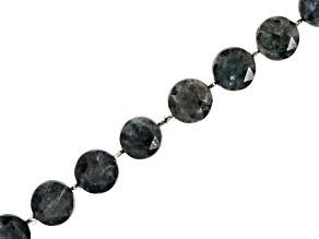 Larvikite 10mm Coin with Star Pattern Microfaceting Bead Strand Approximately 14-15" in Length