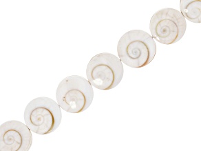 Operculum Shell Bead Strand Approximately 15.5-16" in Length