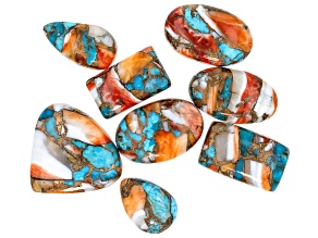 Spiny Oyster & Turquoise Assorted Shape & Size Cabochon Mix