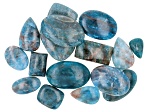 Neon Apatite Cabochon Assorted Size and Shape 1/4lb Mix