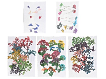 Picture of Dried Flower Kit for Resin Projects in Assorted Colors Appx 54 Pieces