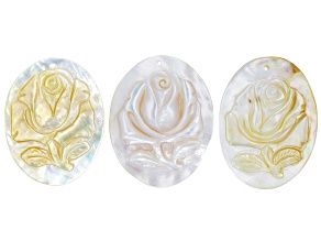 Yellow & White Shell Carved Rose 56x41mm Cameo Set of 3