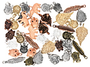 Assorted Charm Set of 40