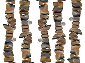 Abalone Chip Bead Strand Set of 5
