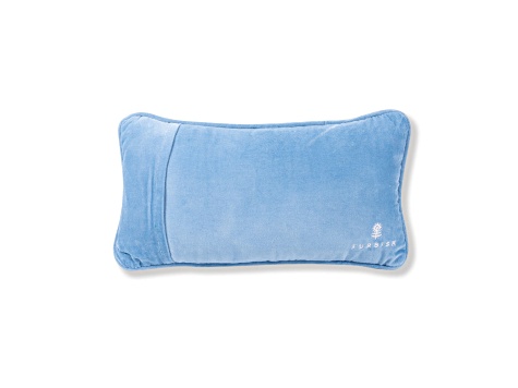 Very Merry Needlepoint Pillow 11DRFA JTV