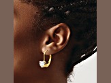 14k Yellow Gold Cubic Zirconia Heart Dangle Earrings