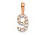 14k Rose Gold Diamond Number 9 Pendant