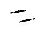 Jet-Tone Two-Layer Jet Black Crystal Fringe Drop Earring